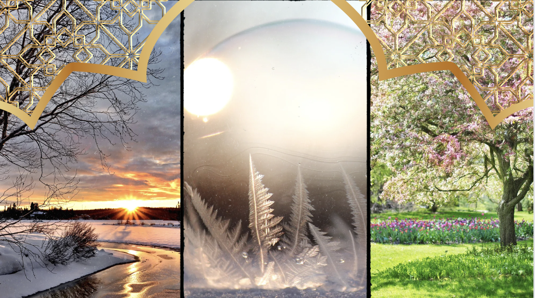 Reflection of The Seasons renewal and rebirth